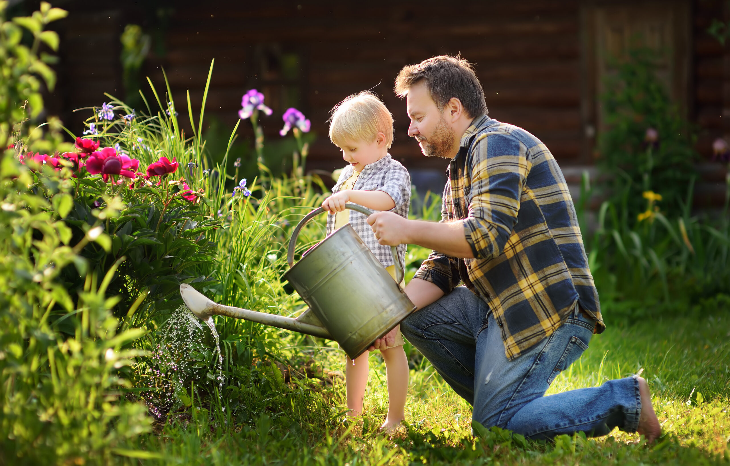 Middle age man and his little son watering flowers in the garden at summer sunny day. Gardening activity with little kid and family